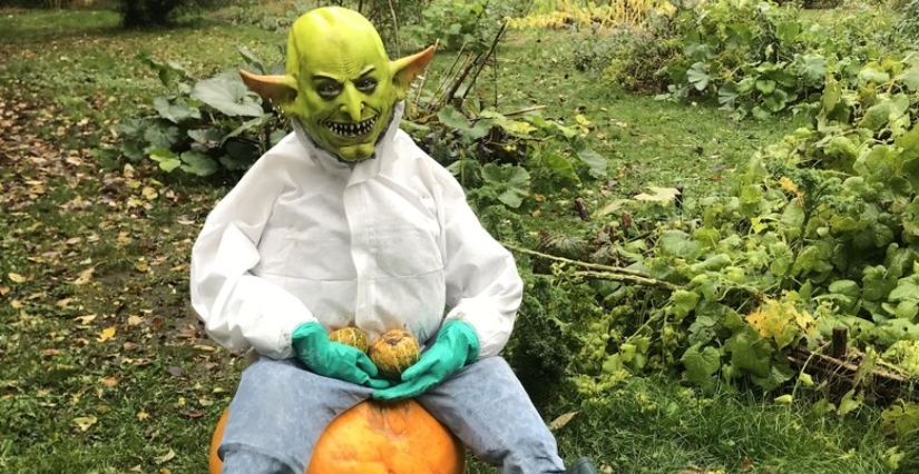 Halloween au Jardin des Plantes de Lille