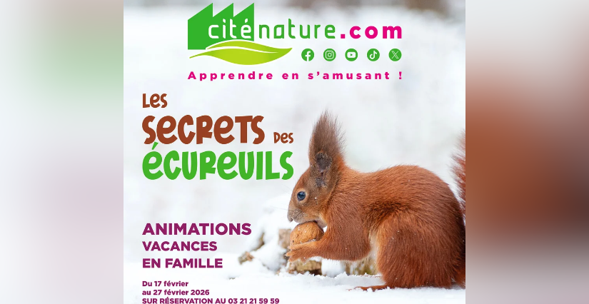 Animation "Le secret des écureuils" à la Cité Nature à Arras