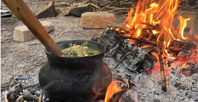 Ateliers et spectacles "A table" au Parc archéologique Asnapio à Villeneuve d'Ascq