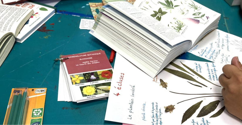 Atelier "Botaniste en herbe" à Akéos-Musée-Parc archéologique, Douai