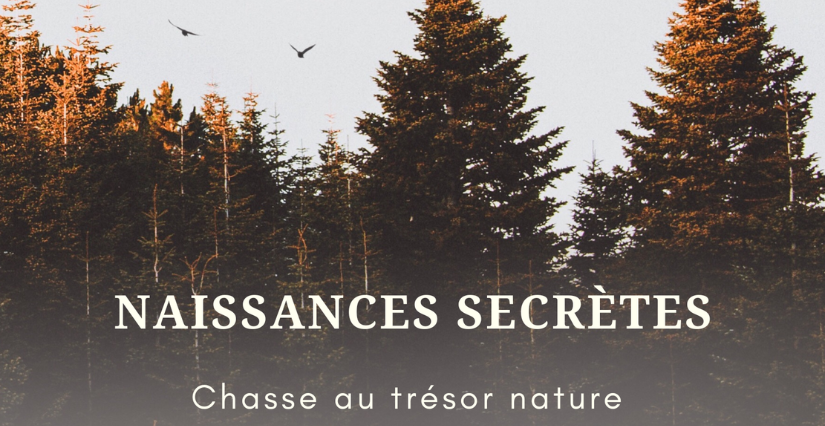 Chasse au trésor nature "Naissances secrètes", Rendez-vous nature du Département du Nord à Bouvines
