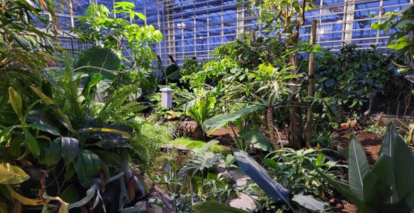 Visite "Voyage tropical et désertique" au Jardin des Plantes de Lille