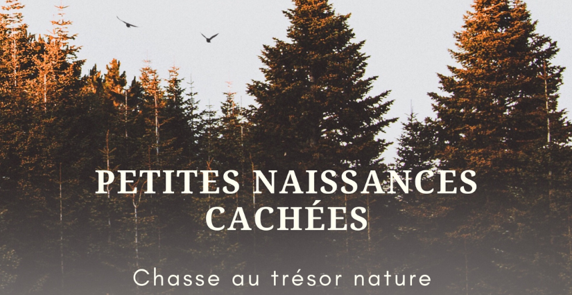Jeu de piste "Petites naissances cachées", Rendez-vous nature du Département du Nord à Bouvines