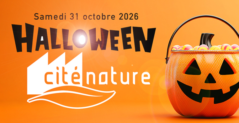 Halloween "Fêtons les chauve-souris !" à Cité Nature Arras
