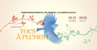 Exposition "Tous à plumes!" au Forum des Sciences de Villeneuve d'Ascq