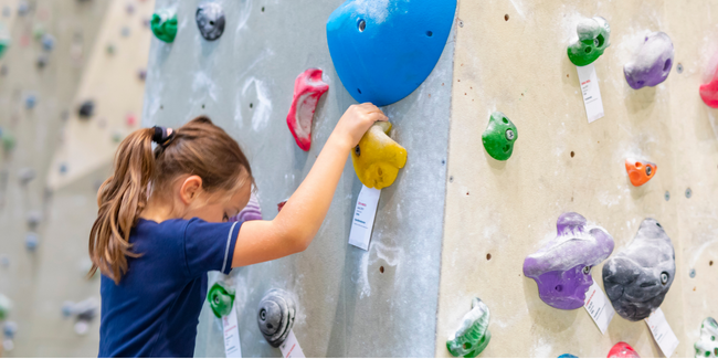 Anniversaire enfant fun perché Climb Up