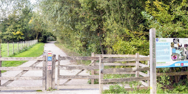 Le parc du Héron à Villeneuve d'Ascq: une foule d'activités pour toute la famille en plein nature