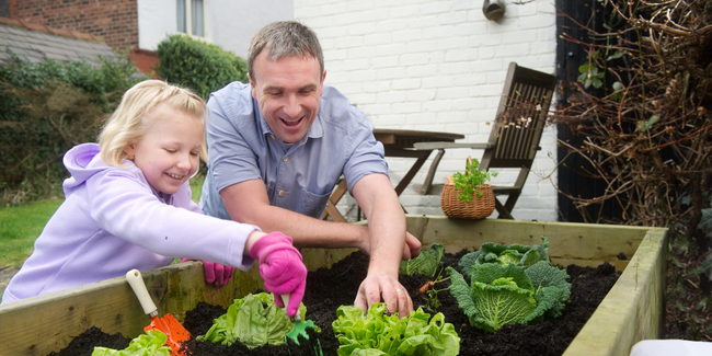 Atelier en famille carré potager