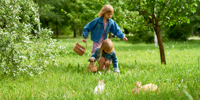Les chasses aux œufs de Pâques dans les fermes à Lille et dans le Nord!