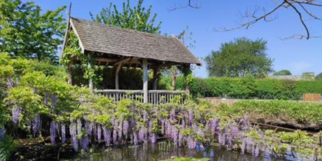 Fête de réouverture du Parc Mosaïc: Au fil de l'Eau