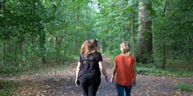 Parcours permanents orientation bois de Lewarde Douai