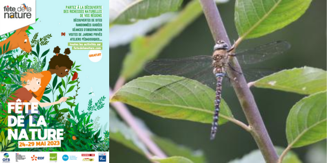 Biodiversité en fête ! au relais nature du parc de la Deûle Biodiversité en fête ! au relais nature du parc de la Deûle