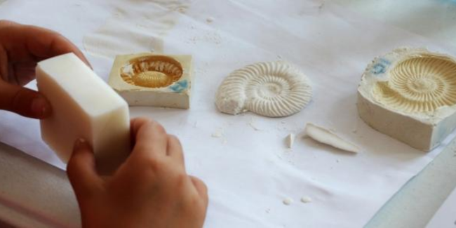 Atelier fossiles musée histoire naturelle de lille Atelier "Les Fossiles" à la Maison Folie de Wazemmes pour les 7-12 ans avec le Musée d'Histoire Naturelle de Lille