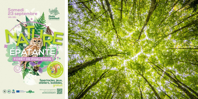 "Nature épatante" en forêt de Phalempin