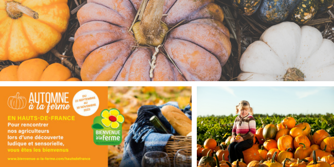 Un automne féérique à la Ferme du Vinage à Roncq! Un automne féérique à la Ferme du Vinage à Roncq!