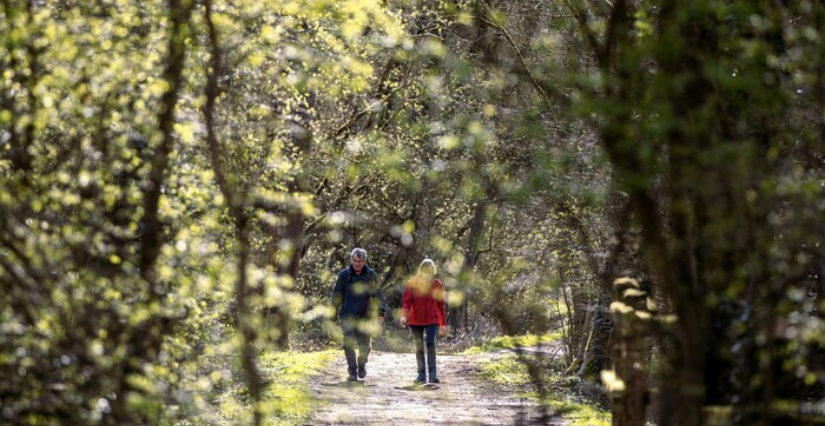 Fête de la nature / Balade naturaliste sur le site de la Gîte avec le Relais Nature du Parc de la Deûle