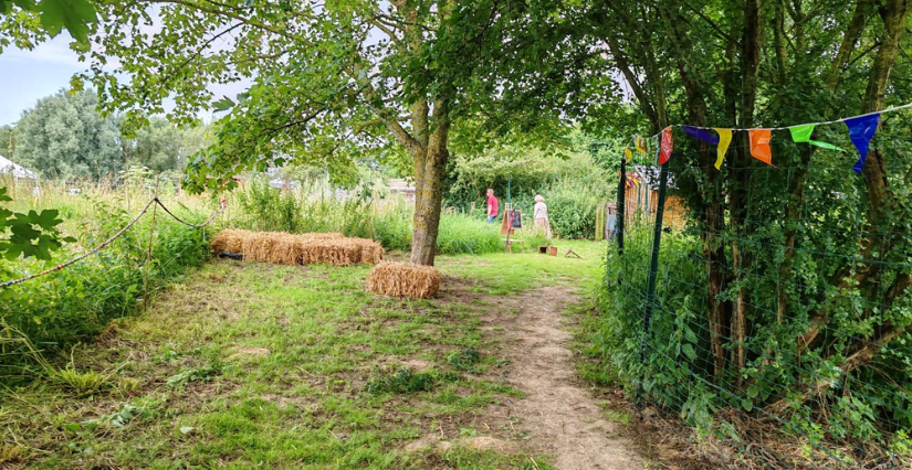 "Nature en jeu : à la découverte de la faune et de la flore", Rendez-vous nature à Caudry, avec le Département du Nord