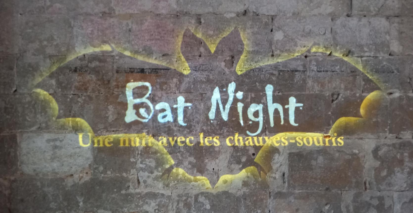 "Bat Night : Une nuit avec les chauves-souris", Rendez-vous nature aux Rues-des-Vignes, avec le Département du Nord