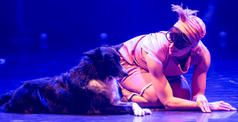 Spectacle et atelier "Family Circus" pour la nuit du cirque salle le Grand Sud à Lille