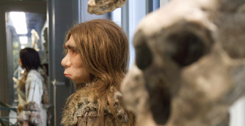 Atelier "Les petits labos du Musée - Enquête Néandertal" à la Fabrique du Sud