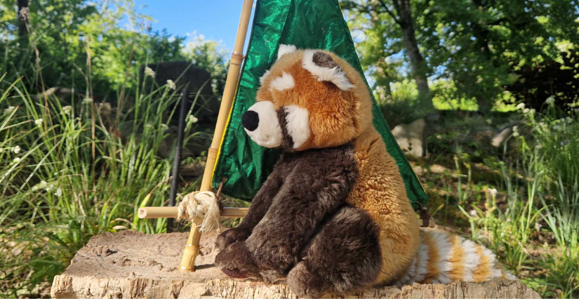 Atelier parent-enfant "À la découverte du zoo" au Zoo de Lille