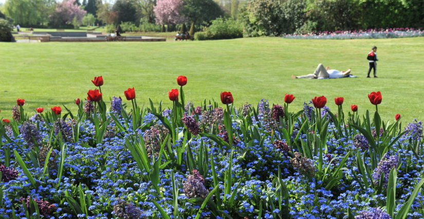 Atelier "masque de plante" au Jardin des Plantes de Lille