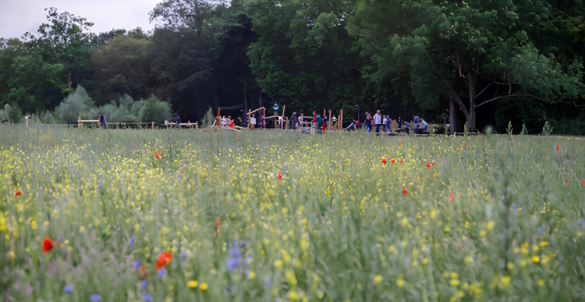 Balade sauvage : "voir les plantes autrement" au parc de la Citadelle de Lille