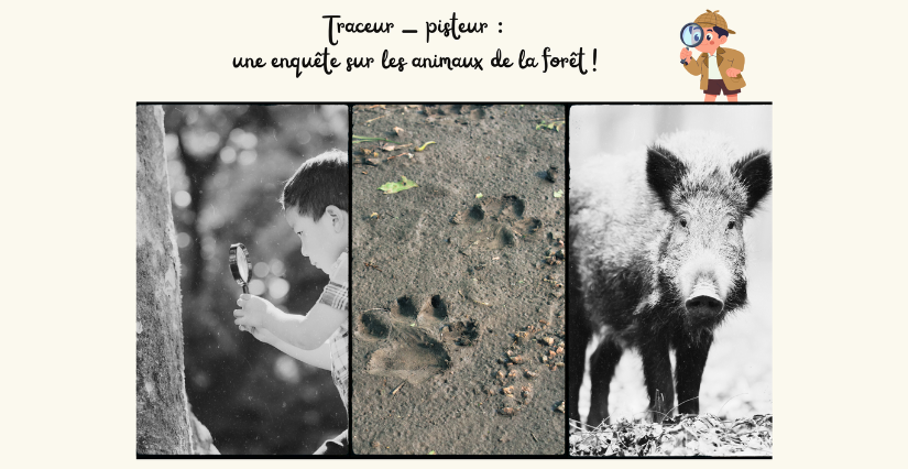 Animation "Traceur - pisteur : une enquête sur les animaux de la forêt !" Rendez-vous nature du Département du Nord à Ors