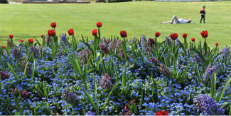 Le Jardin des Plantes à Lille : une chouette balade en toute saison